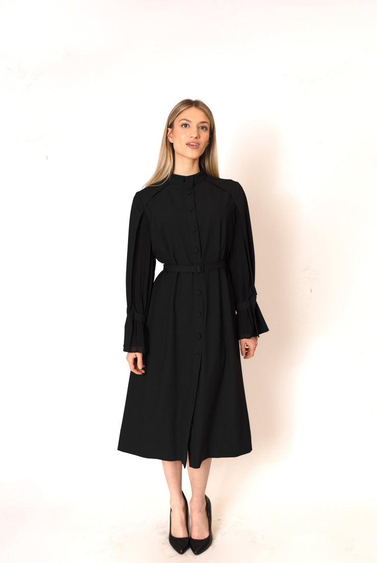 Pleated Chiffon Sleeve Dress