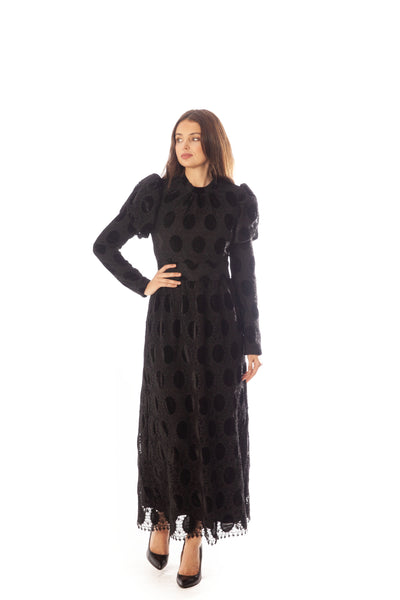 Oval Lace+Velvet Waisted Dress