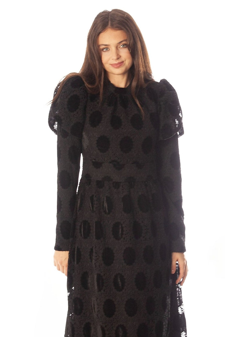 Oval Lace+Velvet Waisted Dress