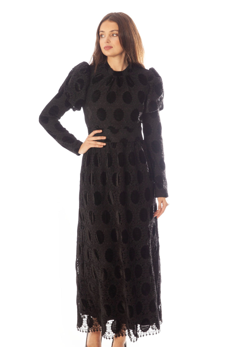 Oval Lace+Velvet Waisted Dress