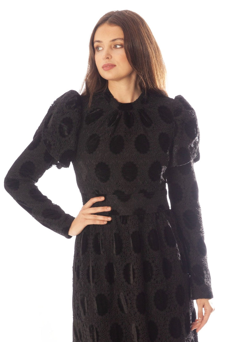 Oval Lace+Velvet Waisted Dress